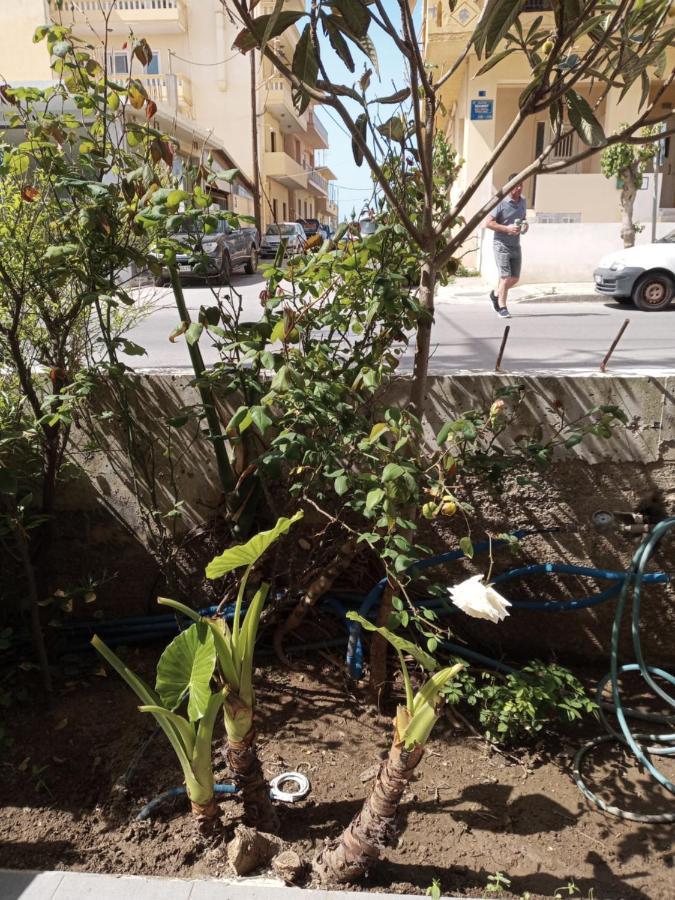 Apartmán Hrysanthl Chania  Exteriér fotografie